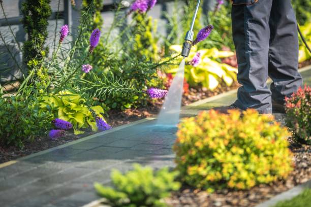 Best Fence Cleaning  in Terrytown, LA