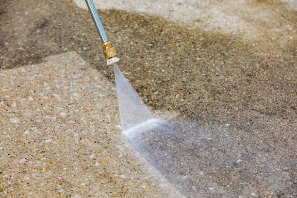 Animal Enclosure Cleaning in Terrytown, LA